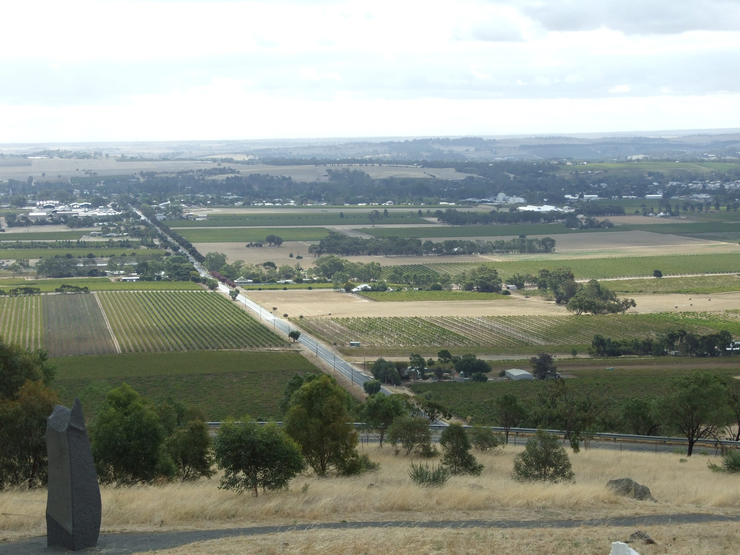 Australian wine regions: where to start