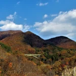 秋保ワイナリーで海とワインのマルシェ、10月17・18日
