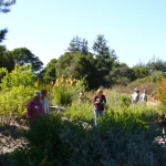 Cabrillo College is first in California to give credit for WSET